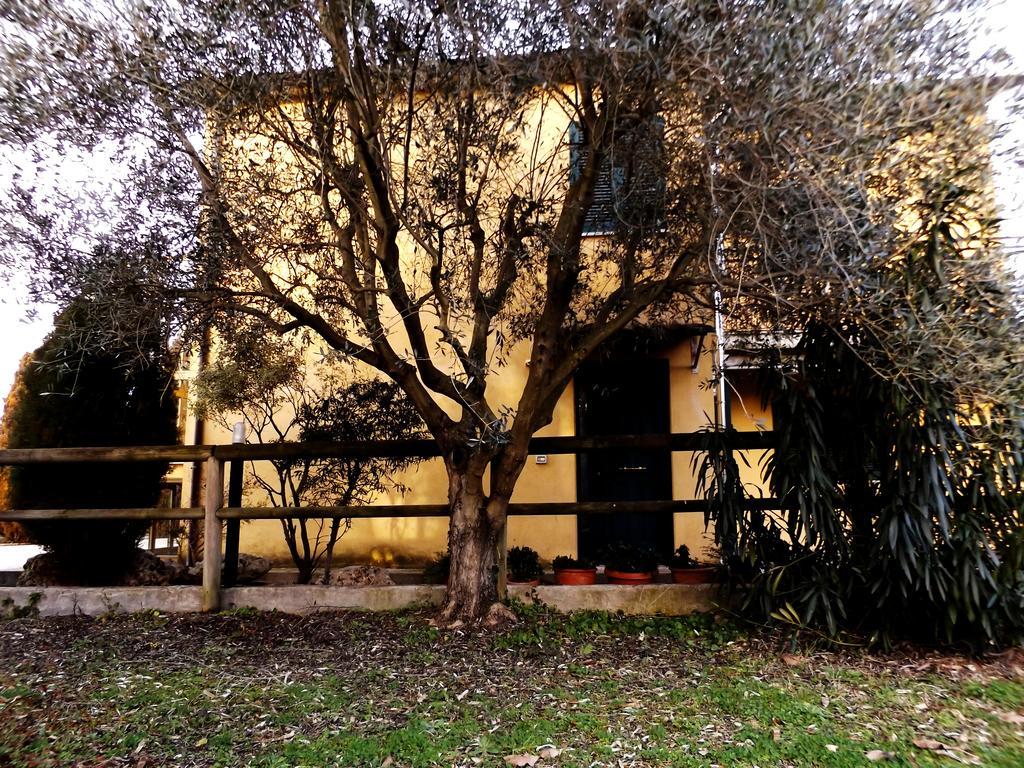 مبيت وإفطار Monterado Il Casale Di Nonno Guido المظهر الخارجي الصورة