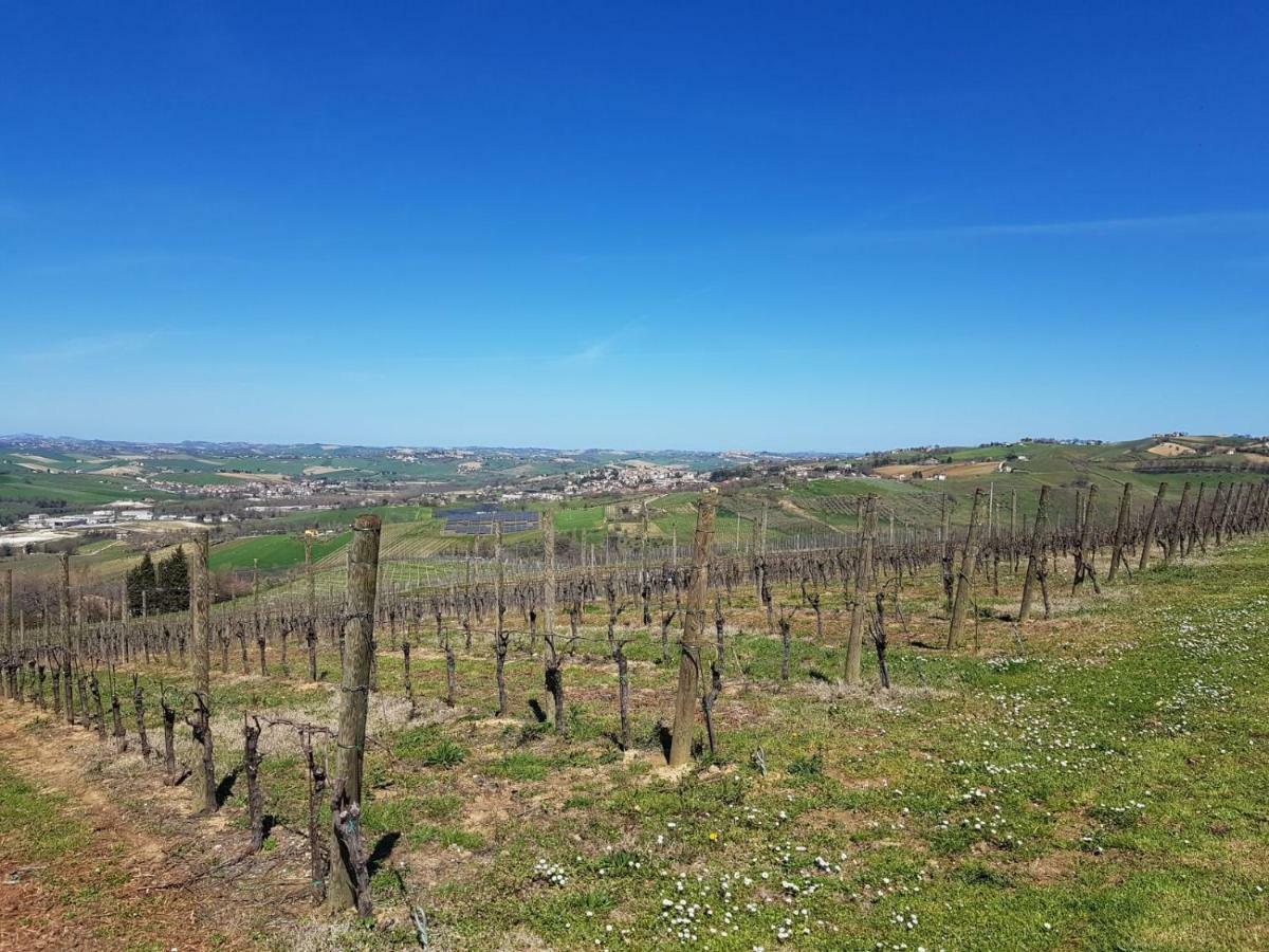 مبيت وإفطار Monterado Il Casale Di Nonno Guido المظهر الخارجي الصورة
