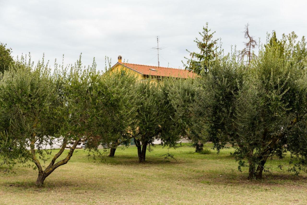 مبيت وإفطار Monterado Il Casale Di Nonno Guido المظهر الخارجي الصورة