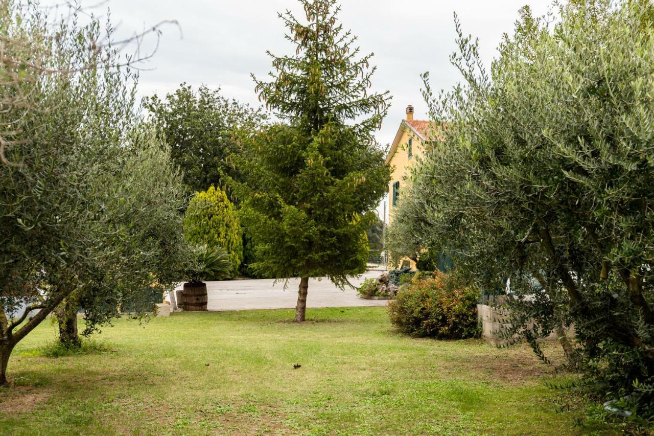 مبيت وإفطار Monterado Il Casale Di Nonno Guido المظهر الخارجي الصورة